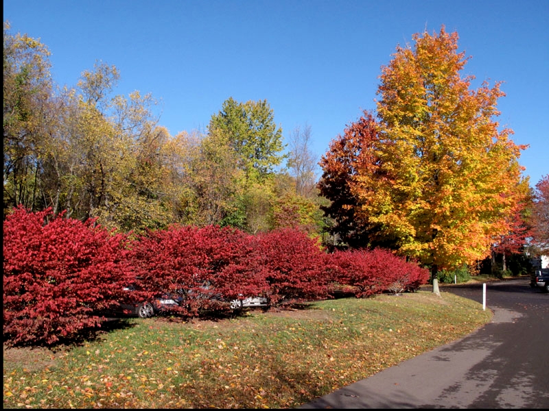 fall01